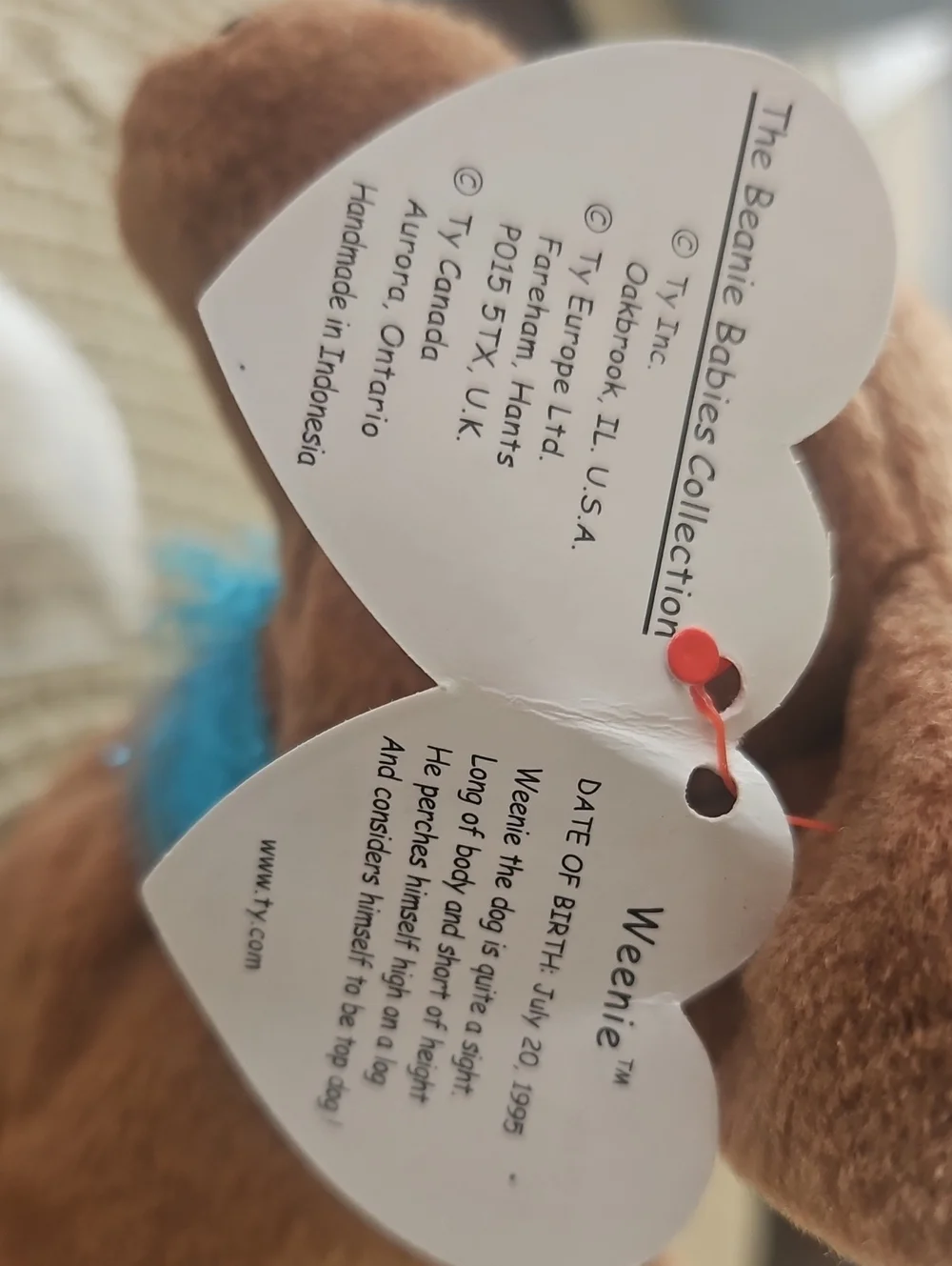 Ty Beanie Baby Plush Dachsund with Sparkly Blue Collar, Orig Tags